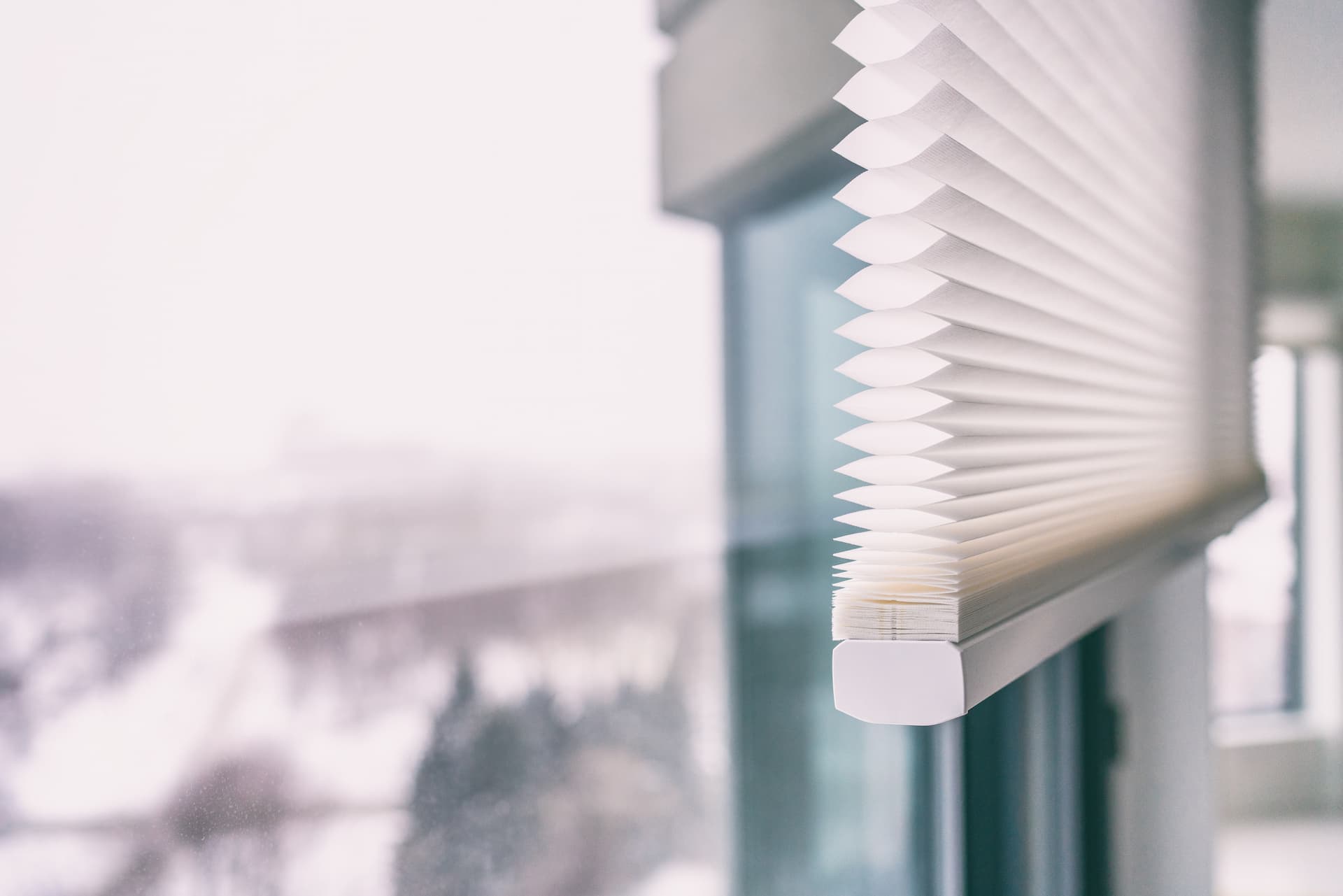 cellular blinds